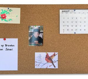 3/8" Thick Cork Sheet (24” x 36")